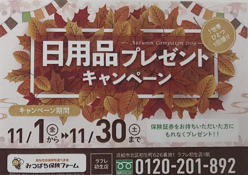 Autumn Campaign 2019